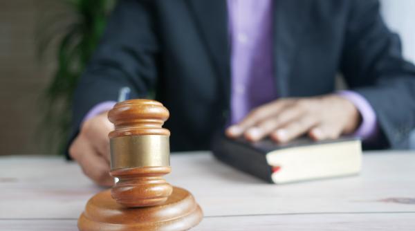 elena udrea si ioana basescu ar putea scapa de condamnari articol din codul penal neconstitutional ccr legiuitorul sa ia masuri