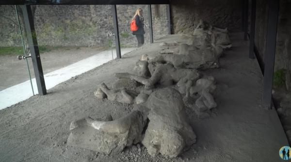 primul adn al unui barbat din pompei avea 35 de ani si era bolnav lava a pastrat genele intacte