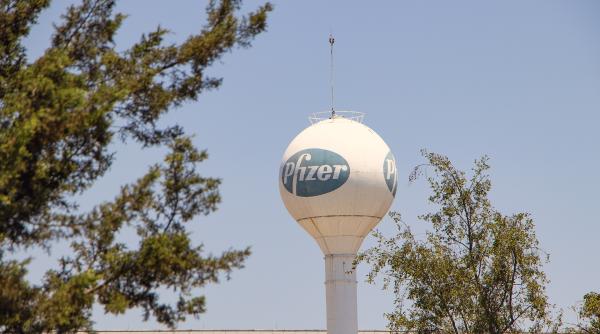 variola maimutei ceo pfizer am fost alertati de aparitia cazurilor dar este foarte dificil sa devina o pandemie