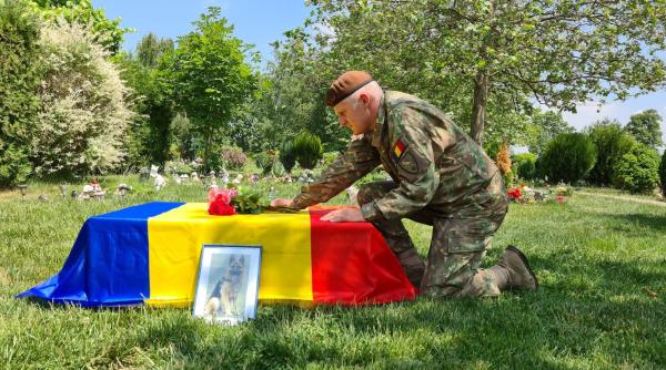 a murit dino ciobanescul german al mapn va multumim pentru ca l ati iubit si i ati aratat asta cu fiecare ocazie