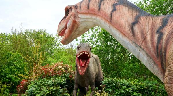 cei mai multi dintre dinozauri erau vieituitoare cu sange cald la fel ca pasarile studiu