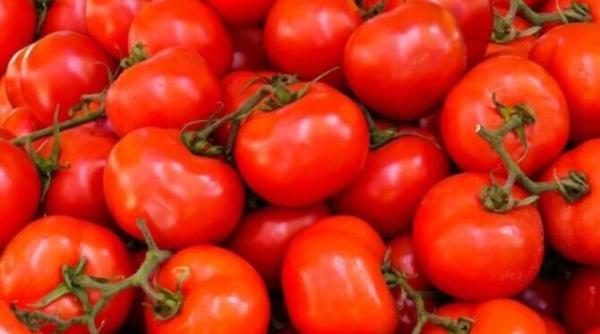 perioada de valorificare a productiilor realizate prin programul tomata prelungita pana la 1 iulie