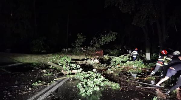 vreme extrema in romania dezastru in craiova in urma unei furtuni puternice teleorman copaci doborati de vant un tir rasturnat si mai multe acoperisuri avariate
