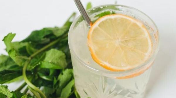 la ce putem folosi menta in afara de ceai sos delicios pentru friptura si sirop aromat pentru prajituri