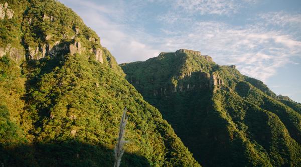 secretul longevitatii calugarilor de pe muntele athos