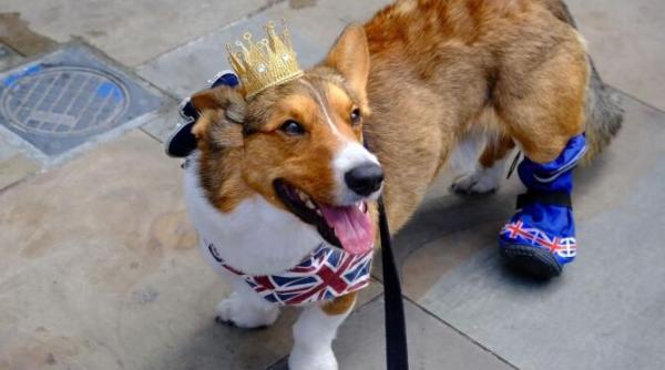 jubileul de platina al reginei elisabeta in marea britanie cititor dcnews imagini din londra ce surprind atmosfera acestor zile