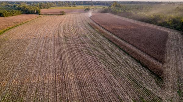peste 50 de proiectile au fost gasite pe un teren agricol din neamt