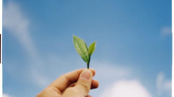 piedici in dezvoltarea bancilor de resurse vegetale din romania costel vanatoru m am simtit umilit multi nu suporta ca avem ceva romanesc