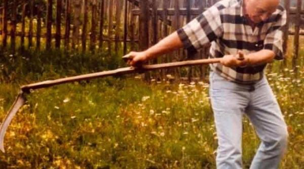 paler a castigat lupta cu timpul steaua lui continua sa straluceasca daniel cristea enache despre octavian paler