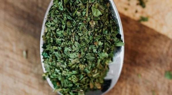 pune oregano pe pervaz condimentul minune te scapa de cea mai urata problema a verii