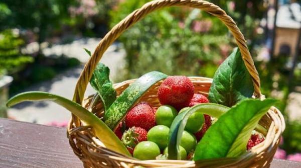 cum sa pastrezi legumele si fructele proaspete mai mult timp p