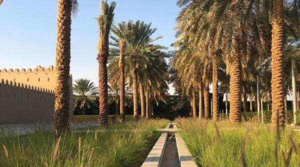 descoperirile desertului arab morminte vechi de 5 000 de ani