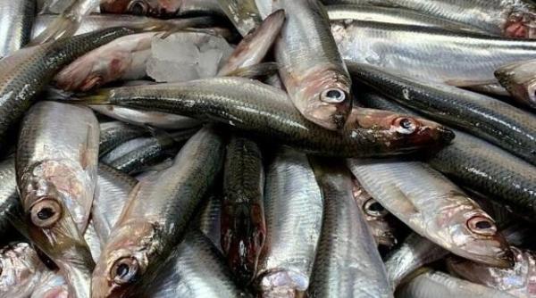 nu mai cumpara hamsii marinate le poti face chiar acasa si vor avea o aroma deosebita