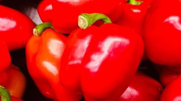 ardei umpluti in stil lasagna fara carne si fara orez o reteta originala care te va cuceri