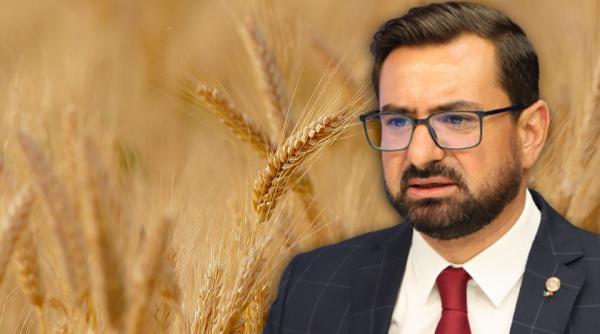 cerealele din ucraina trec prin romania chesnoiu ii linisteste pe fermierii romani pretul graului nu va creste