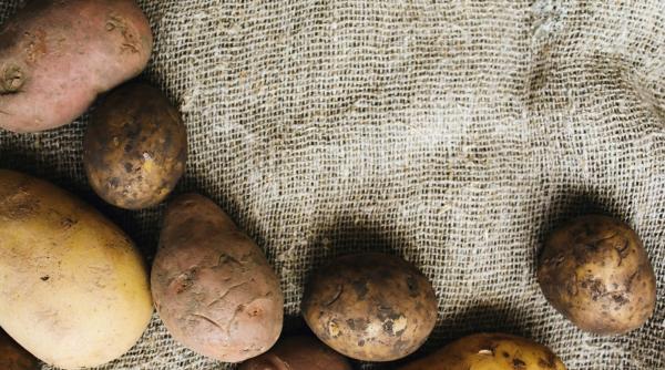 cartoful romanesc e cumparat de straini si vandut inapoi in romania ministrul chesnoiu face investitii pentru a rezolva cauza problemei