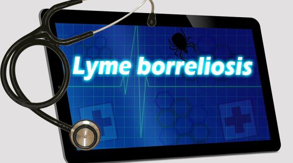 ce este boala lyme afec iunea de care sufera justin bieber