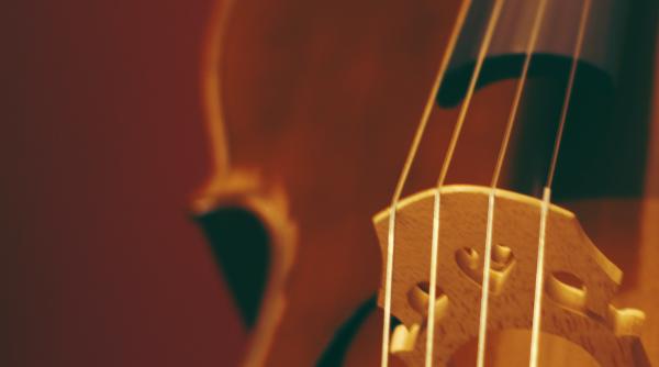 o rara vioara stradivarius vanduta la licitatie in new york pentru o suma uriasa