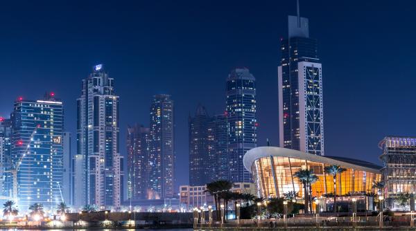 emiratele arabe unite au anuntat un plan de asigurare pentru somaj ajutor de pana la 5000 de euro pe luna