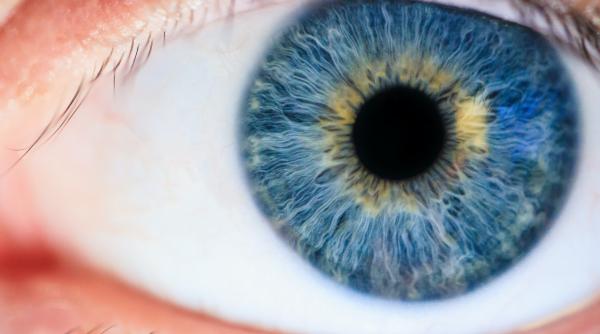 conjunctivita cauze simptome si tratament eficient