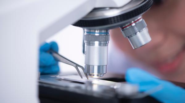 deputatii fac testul parului si nu e vorba de droguri