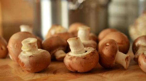 ciupercile gustoase dar mortale ciuhodaru ne punem viata in pericol din cauza saraciei