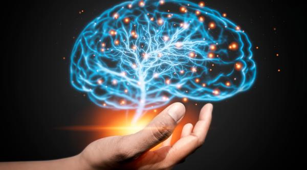 creierul tau e mai fierbinte decat crezi ce temperaturi poate atinge