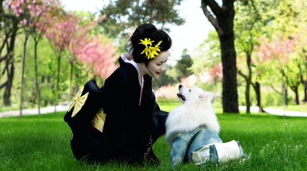 iata cateva dintre secretele japoneze pentru a avea o piele cu 15 ani mai tanara