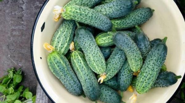 masca de fata cu castraveti un amestec de ingrediente purificatoare care te scapa de cosuri si puncte negre