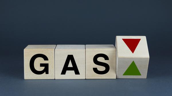 preturile de referinta ale gazelor naturale si impactul asupra consumatorilor