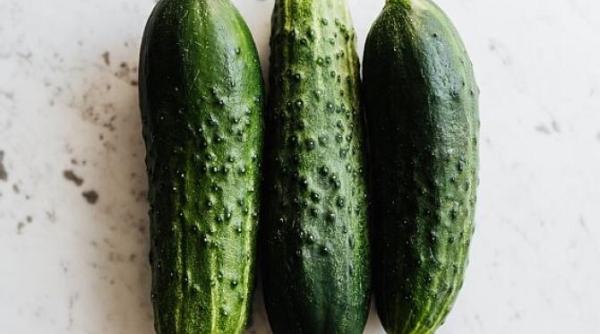 castraveti murati in punga de plastic pot fi consumati a doua zi sunt crocanti si deliciosi