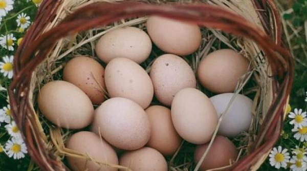 ce se intampla daca ingropi un ou intr un ghiveci un truc ciudat care trebuie incercat macar o data