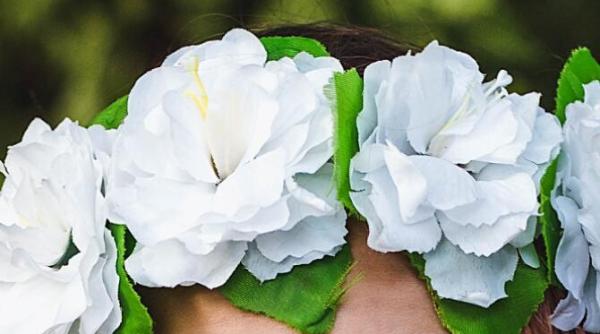 bulai si valcu o dau in minte copiilor la nod in papura discutie despre coronite si disney