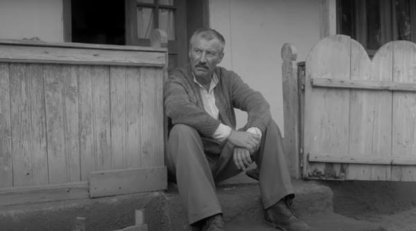 profil de taran roman enache moromete n are de a face cu taranul din alte opere are orizont moral si lume interioara e inedit complex poate sustine un roman de analiza psihologica