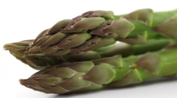 un fermier a pierdut sparanghel de 58 000 de euro fiindca nu a avut forta de munca