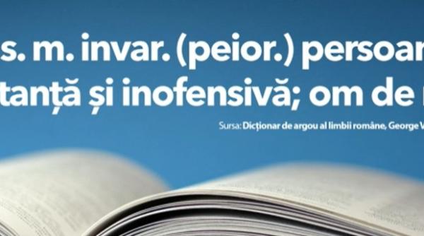 ce inseamna tiriplici cuvantul folosit de ciolacu ana iorga cuvintele se transforma si ajung sa insemne ceva ironic doar pe baza sonorizarii