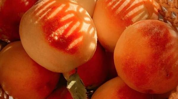 desert bestial din piersici proaspat ca inghetata si moale ca o crema