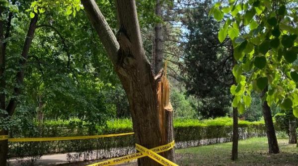 herastraul uitat si de clotilde armand si de nicusor dan copaci legati cu banda politiei locale ca sa nu se prabuseasca buruieni de un metru alei surpate galerie foto