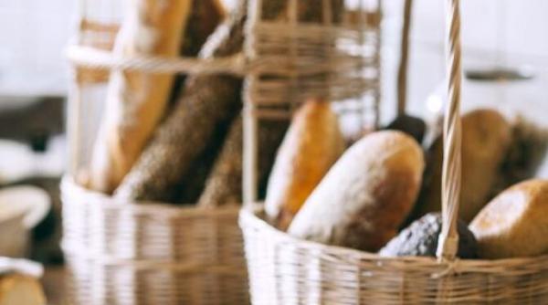 placinta de mere cu blat din paine uscata un desert autentic si econom o felie are doar 160 de calorii