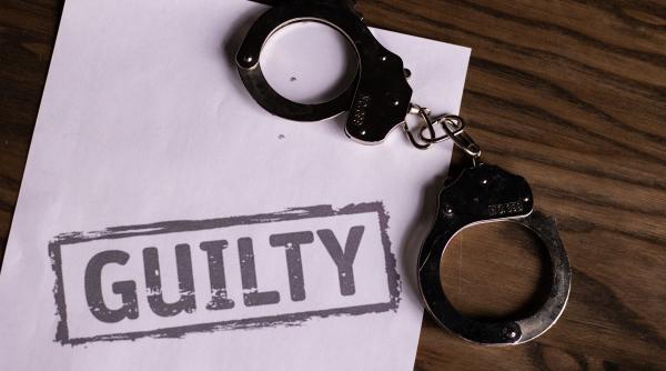 diana gasparovici condamnata acum 10 ani alaturi de adrian nastase a fost prinsa in suedia