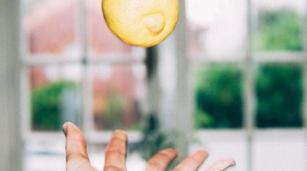 nu mai arunca samburii de lamaie iata cum si la ce poti sa i folosesti vei fi surprins