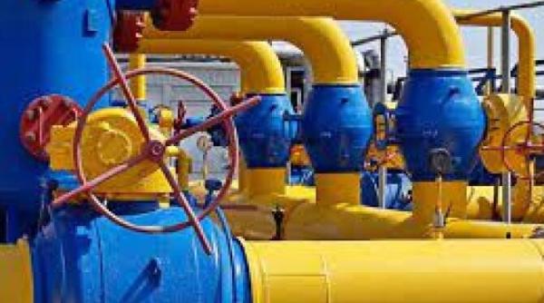 seful agentiei pentru energie europa sa se pregateasca pentru o oprire totala a gazelor