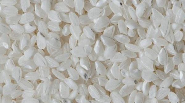 pastreaza cutitele intr un recipient cu orez trucul bunicii te va cuceri