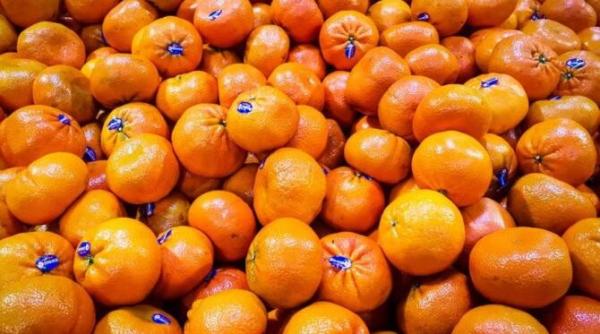 pune cojile de portocala in otet fara a cheltui bani vei pregati un produs util si eficient