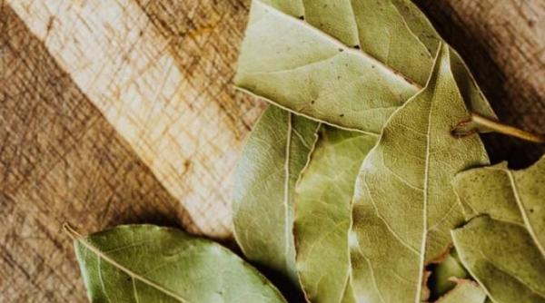 pune zece foi de dafin in masina de spalat vei fi uimit de rezultate