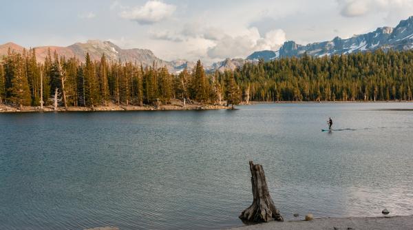 mamut mumificat descoperit in canada de niste muncitori este magnific foto