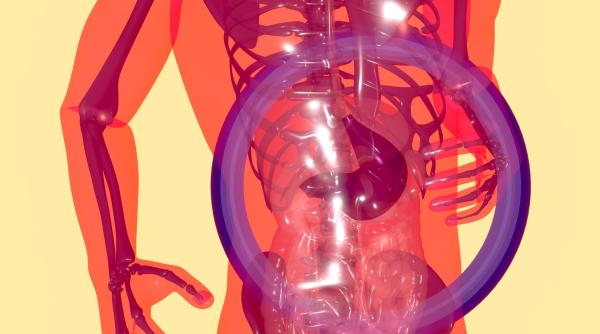 boala provocata de dezechilibrul microbiotei bilic pesticidele si aditivii alimentari efect nefast