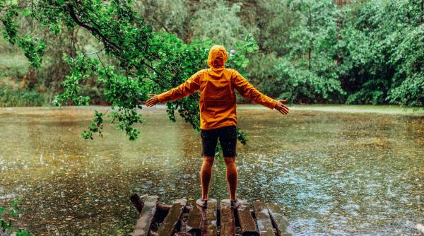 povestea reconstructiei ecologice din zona muntilor fagaras ing bank si fundatia conservation carpathia iti propun sa te implici