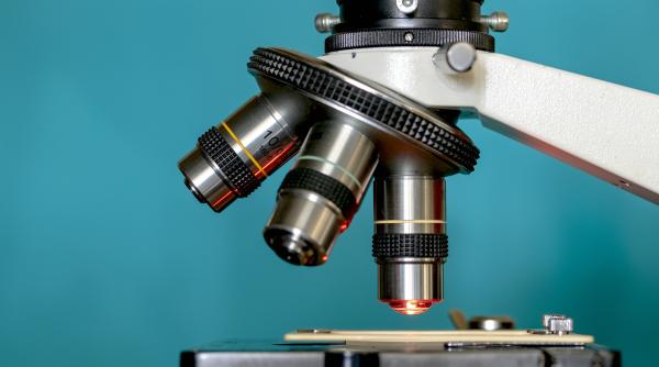 virusurile periculoase raman infectioase in apa dulce pana la 3 zile din cauza poluarii