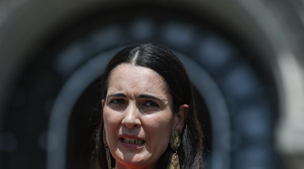 nicusor dan a amendat o pe clotilde armand